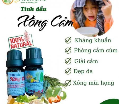 Tinh Dầu Xông giải Cảm nguyên chất 10ml/120k; 50ml/370k 